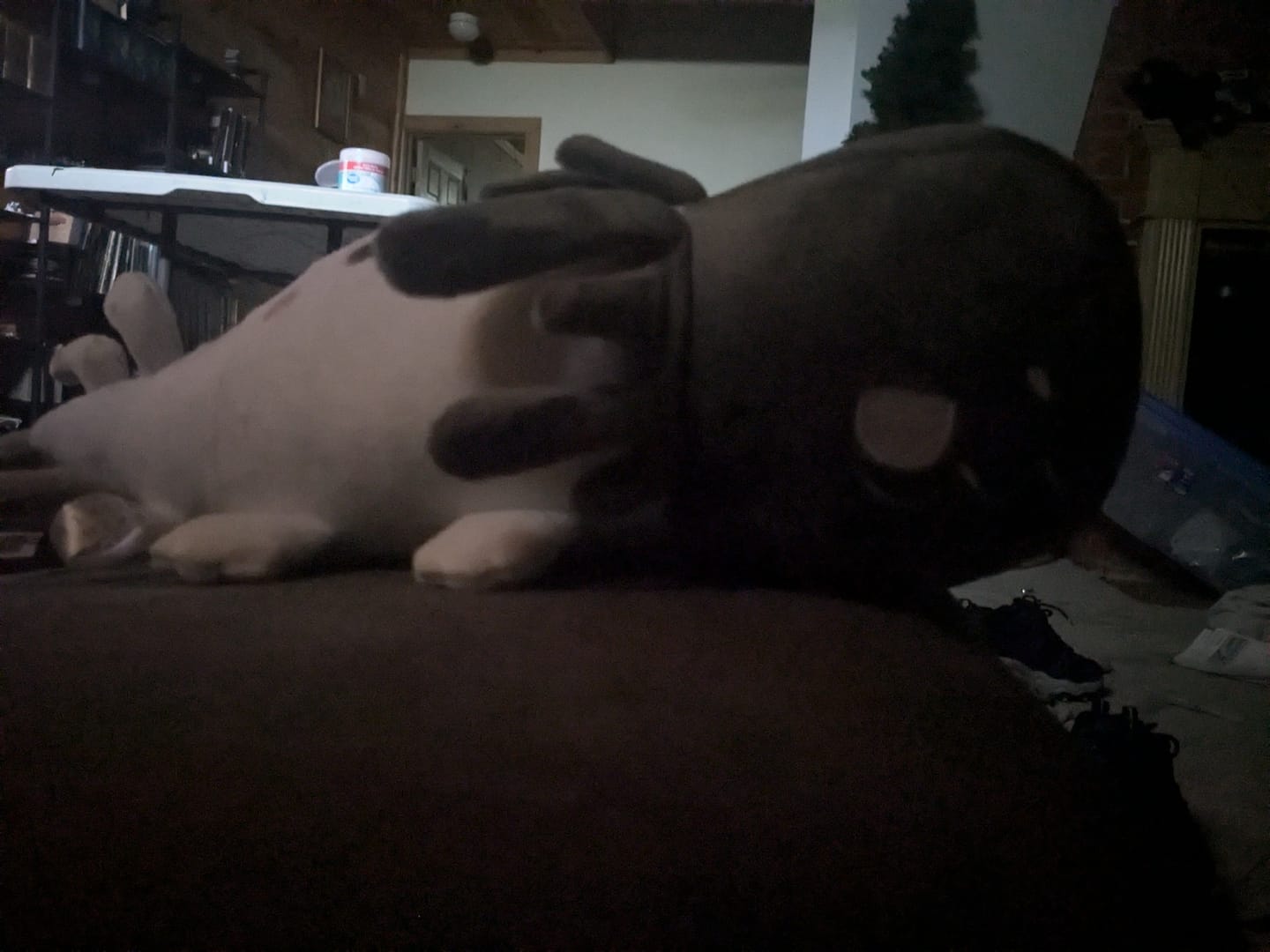 Customer photo review of Rain World - Glowing White Lizard Plush