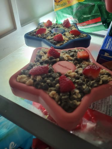 Customer photo review of FreezStar - Long-Lasting Star Chew