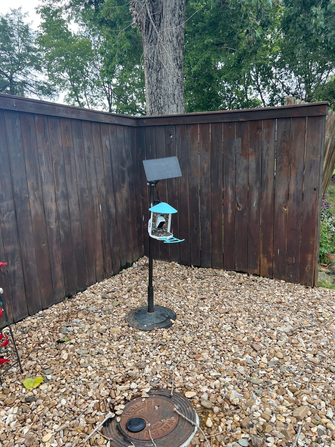 Customer photo review of Birdfy Solar Panel (Type C) - Bird Feeder Camera Solar Panel