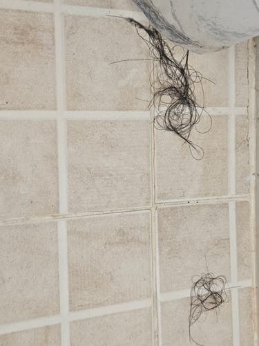 Customer photo review of HAIRtamin Fórmula Avanzada | Vitaminas con biotina para el cabello