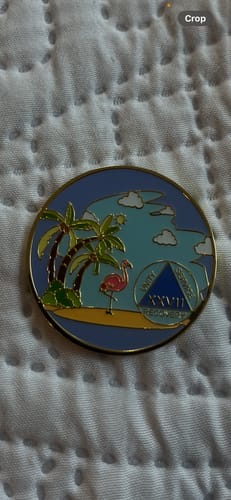Customer photo review of 27 Year Beach Themed Specialty Tri-Plated AA Recovery Medallion - Twenty Seven Year Chip/Coin