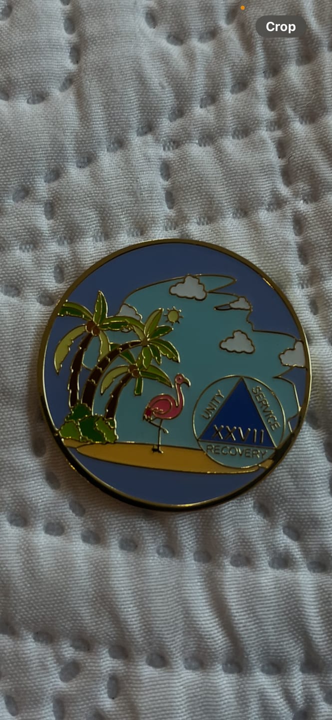 Customer photo review of 27 Year Beach Themed Specialty Tri-Plated AA Recovery Medallion - Twenty Seven Year Chip/Coin