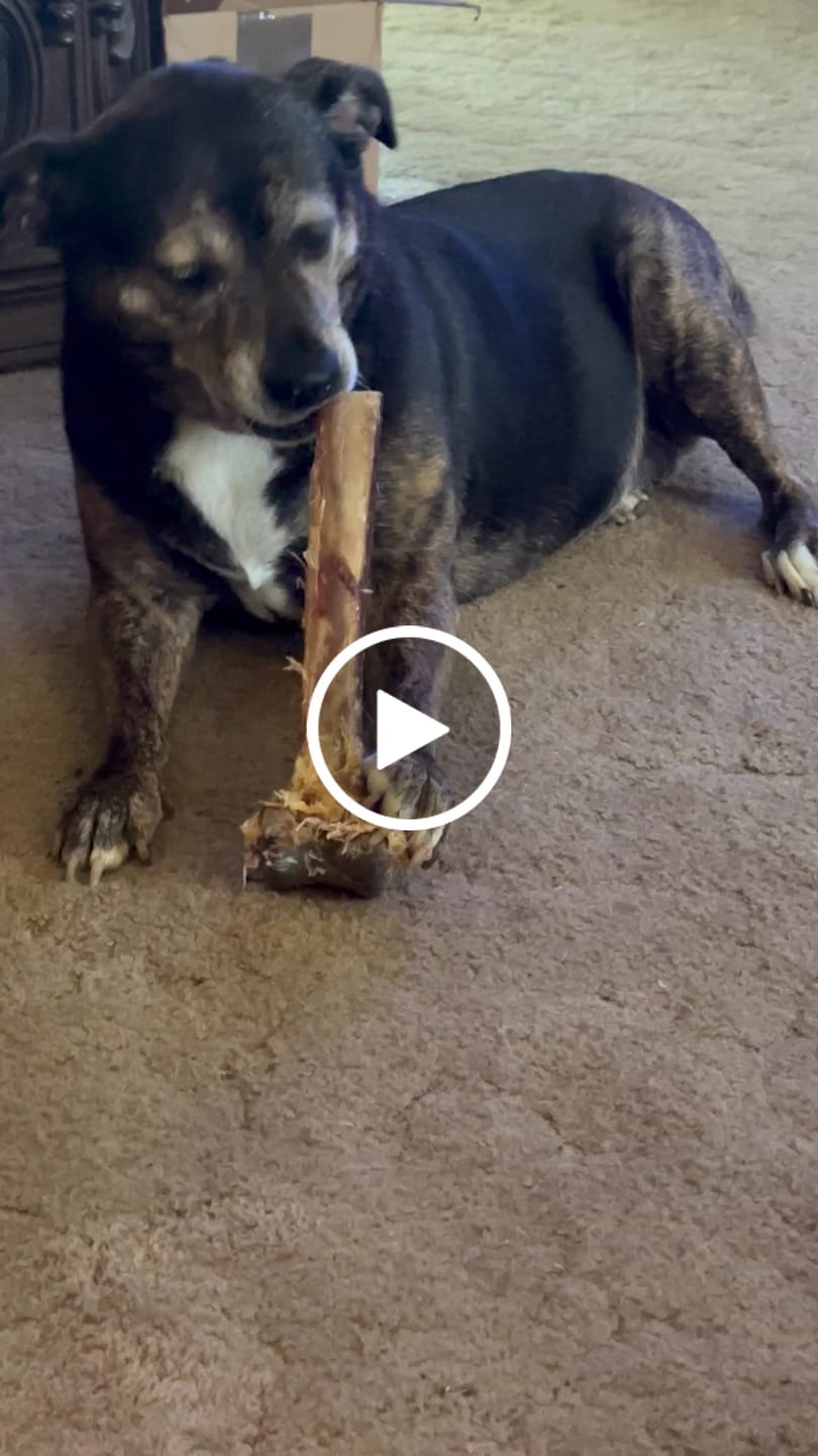 Customer video review of Mystery Gift