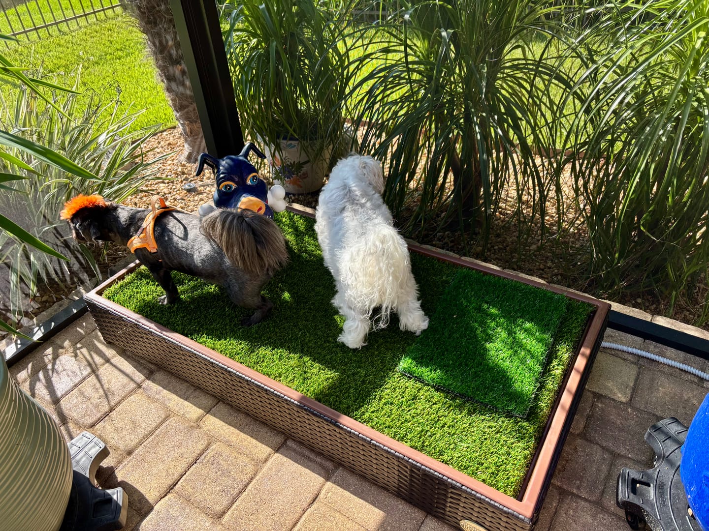 Customer photo review of Porch Potty STANDARD