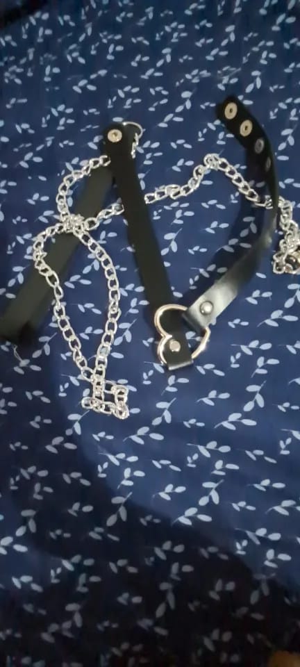 Customer photo review of Heart Collar Leash Chain
