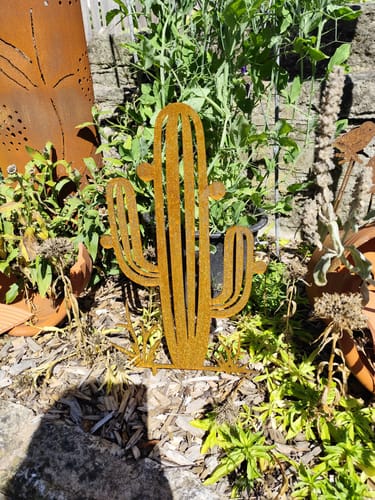 Customer photo review of Gartenstecker Kaktus