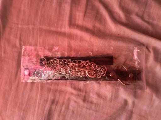 Customer photo review of Heart Collar Leash Chain