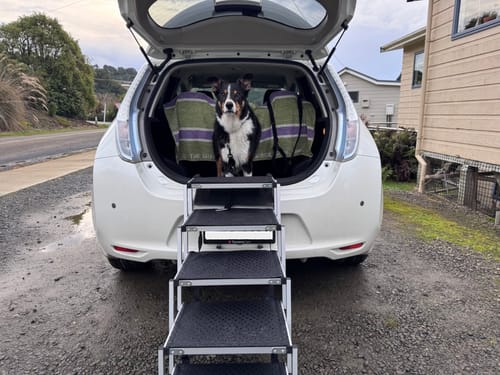 Customer photo review of PaWz Foldable Aluminum Pet Steps