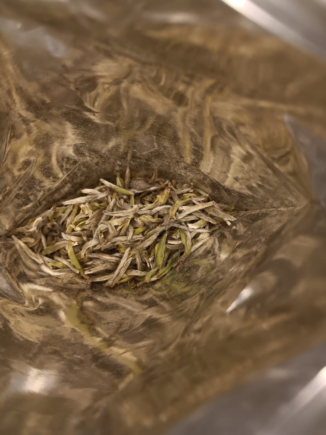 Customer photo review of 2023 Bai Hao Yin Zhen White Tea