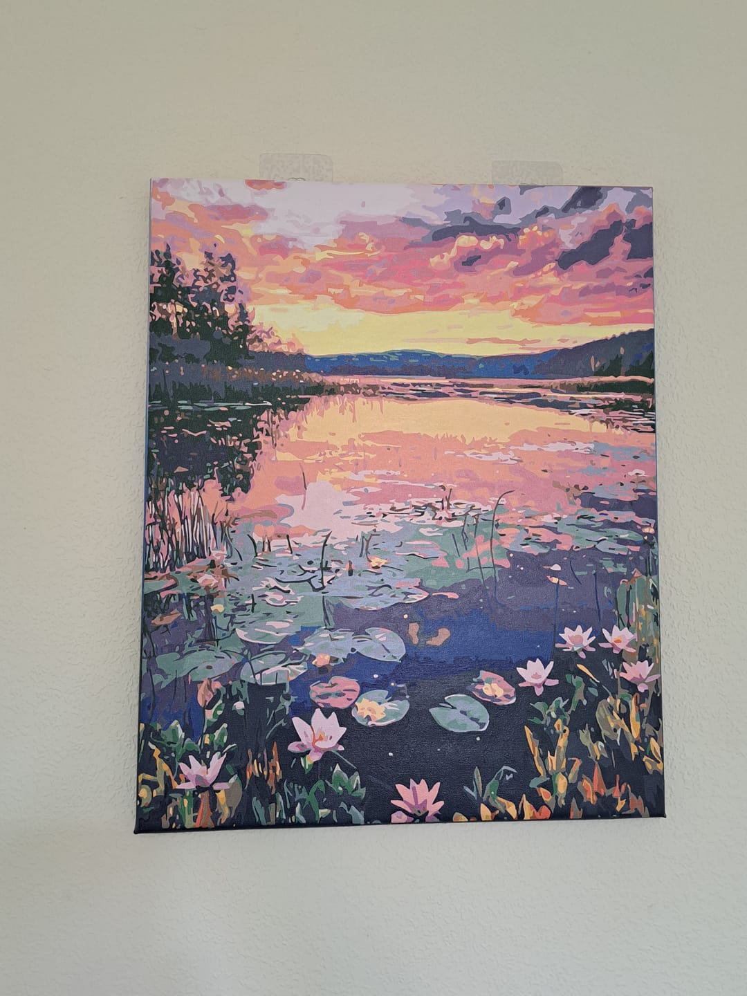 Customer photo review of Lily Sunset