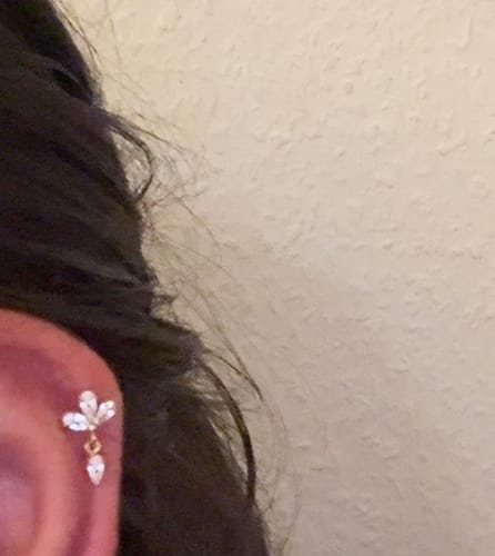 Customer photo review of Glacia Piercing | Titan
