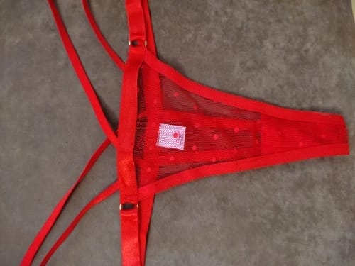 Customer photo review of Crimson Polka Dot Mesh Lingerie Set
