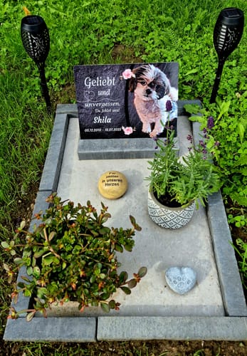 Customer photo review of Hunde Gedenktafel mit Foto & Spruch (UV- & Wetterfest)