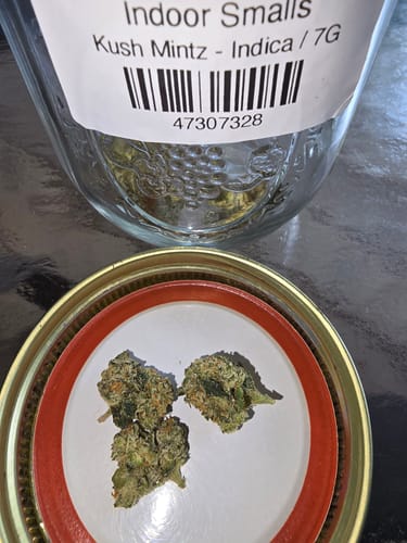 Customer photo review of Value Indoor Smalls