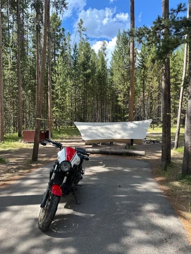 Customer photo review of Haven Safari