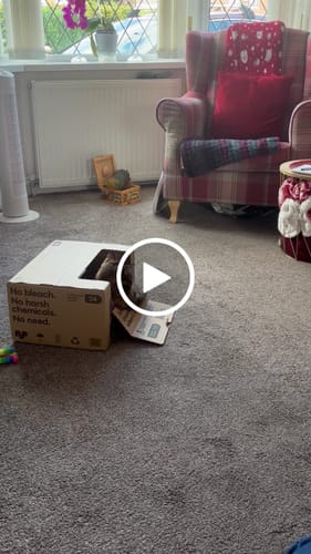 Customer video review of Unbleached Bamboo Toilet Paper