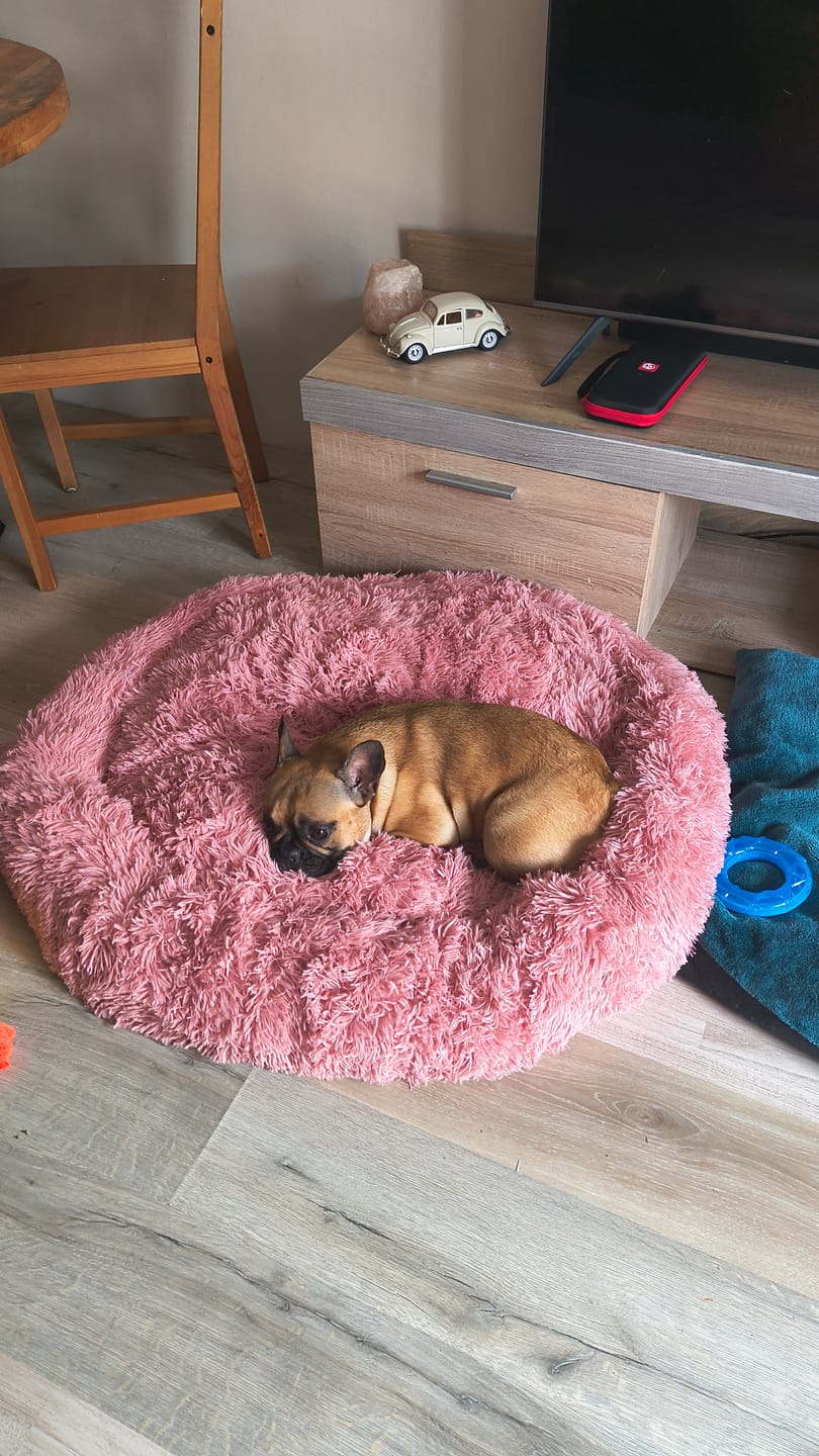 Customer photo review of Pet Perfect Donutmand