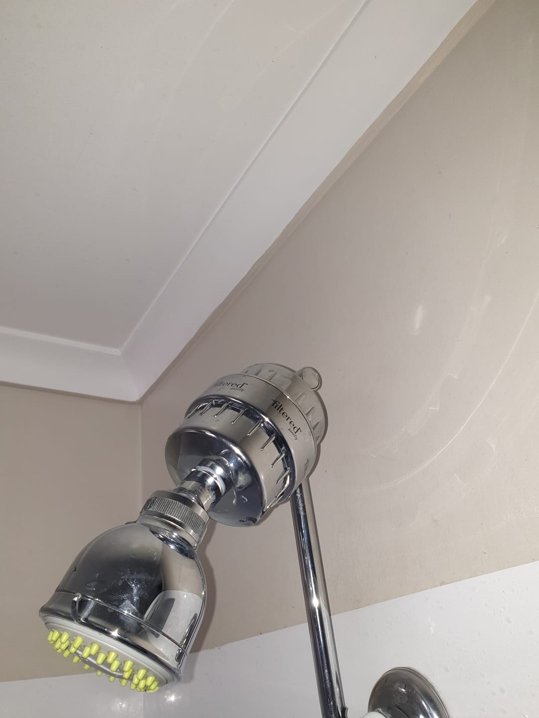 Customer photo review of Shower Purifier - Silver