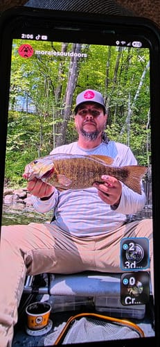 Customer photo review of [12 Pack] Embroidered Trucker Hats
