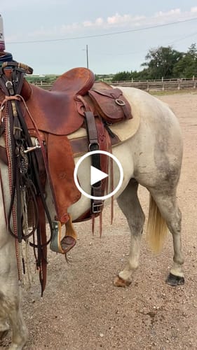 Customer video review of Variety Pack - 16 oz