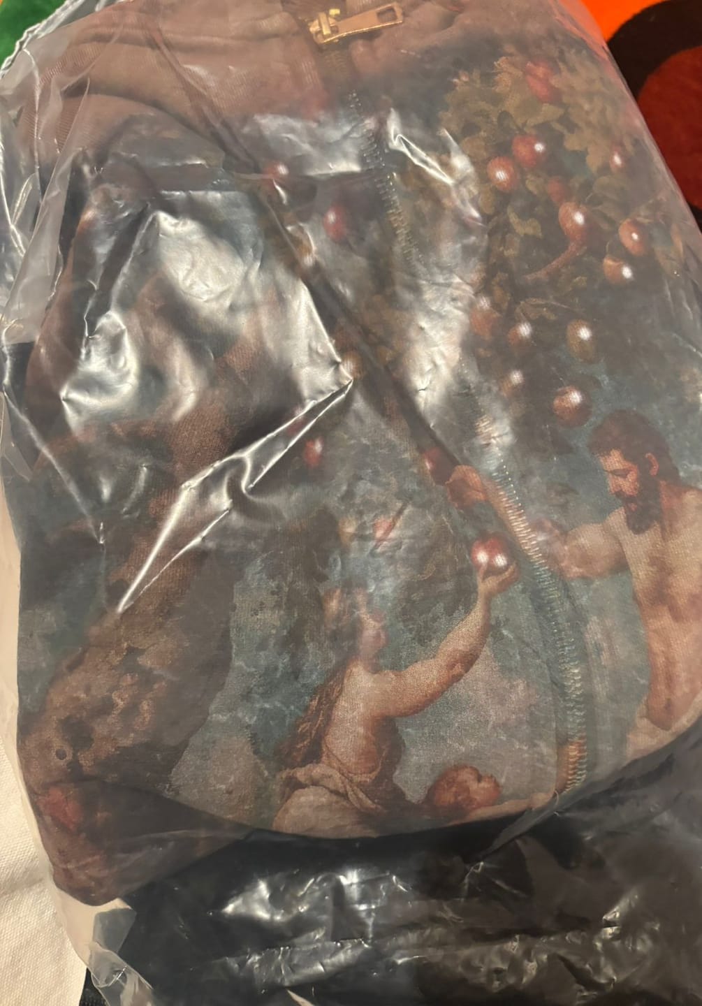 Customer photo review of Fruit of Sin – Sacred Classic Hoodie- 153