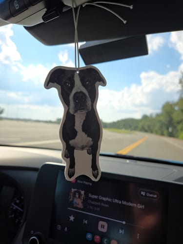 Customer photo review of Custom Air Freshener