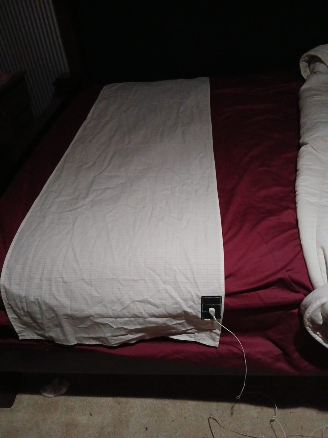 Customer photo review of PureGrounding® Grounding Sheet