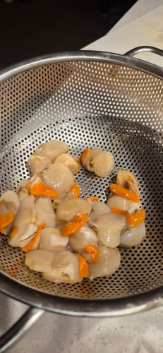 Customer photo review of Tasmanian Scallops Pack