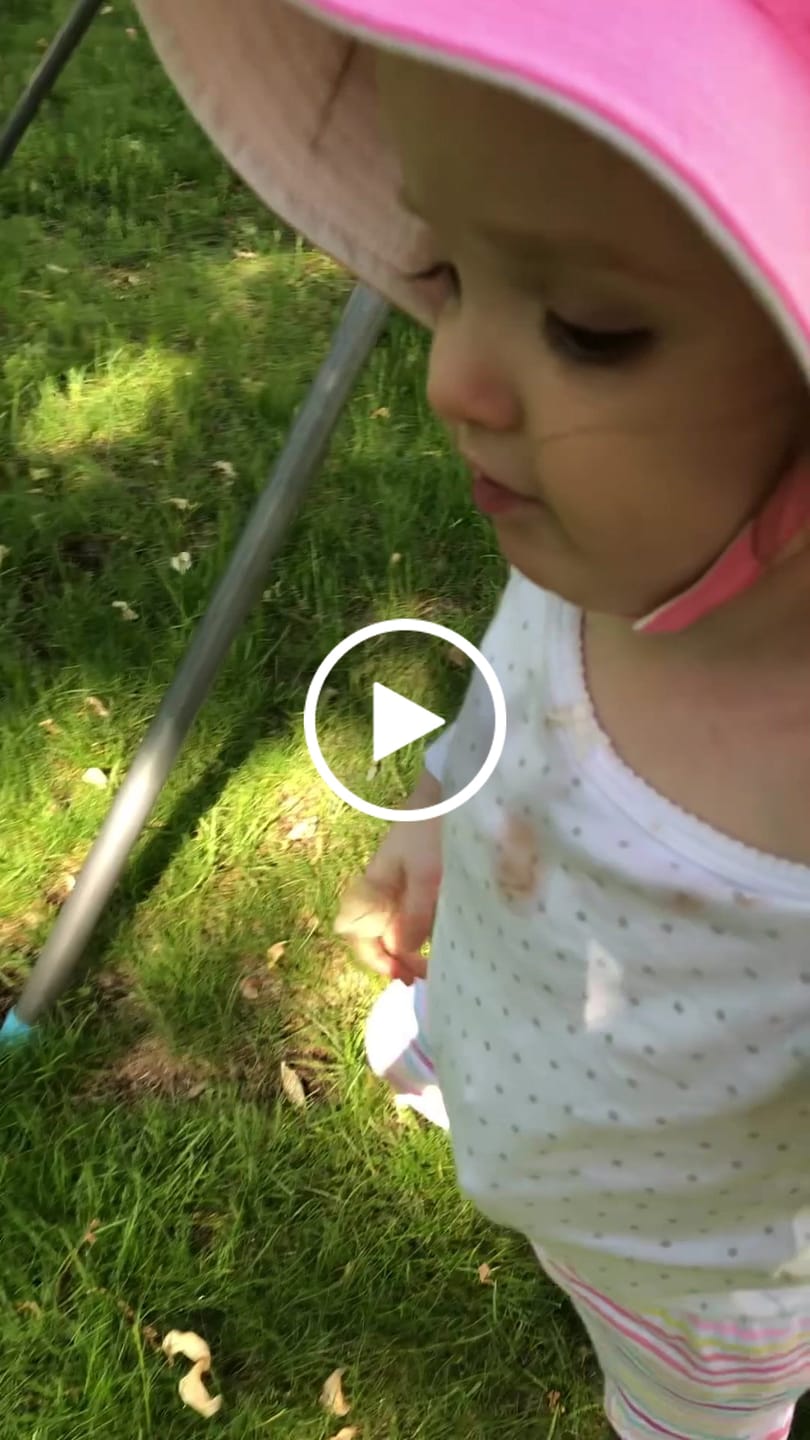 Customer video review of Tiny Explorings™ [Free Today]