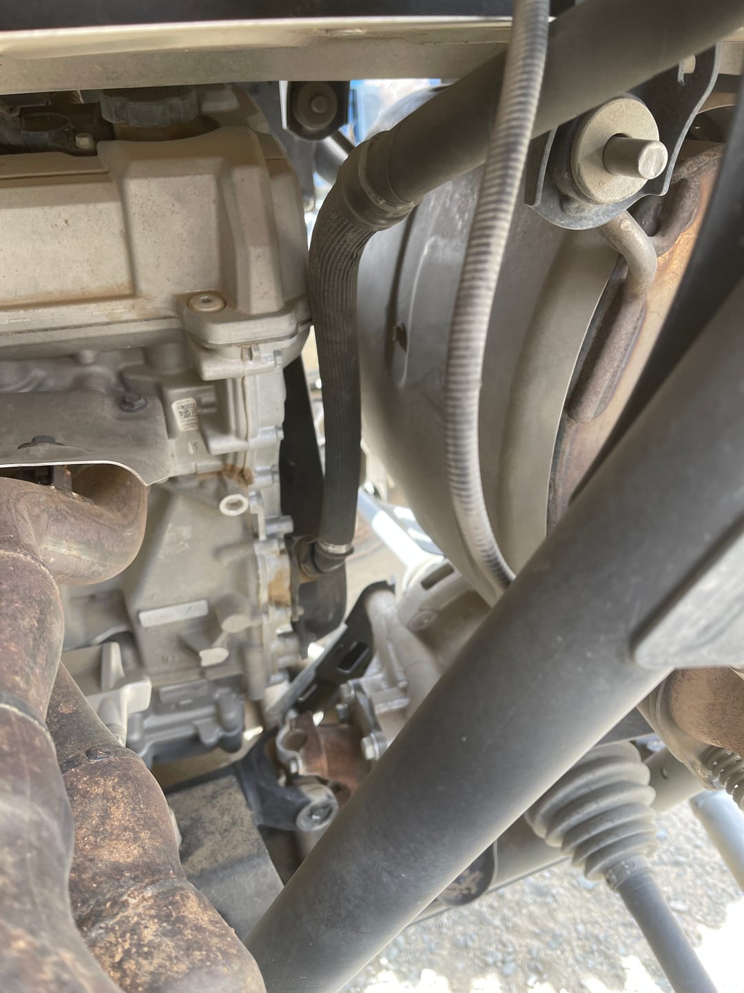 Customer photo review of RPM Pro R Oil Fill Adapter Hose