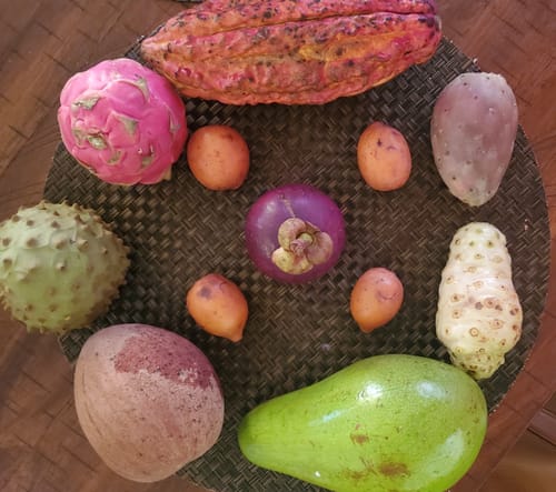 Customer photo review of Tropical Variety Box