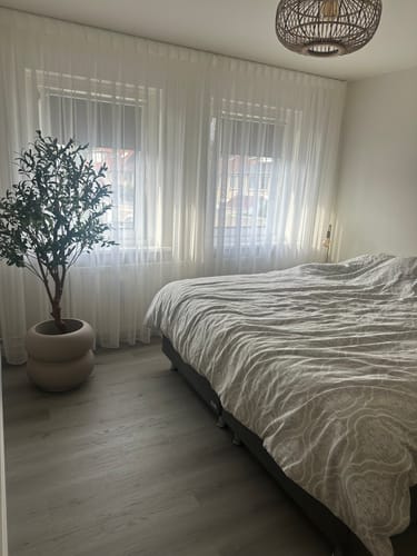 Customer photo review of Kunst Olijfboom 150cm