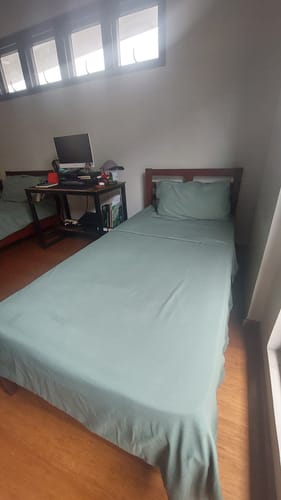 Customer photo review of Plain Spruce