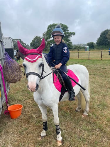 Customer photo review of Rhinegold Fly Veil / Noise Muffler