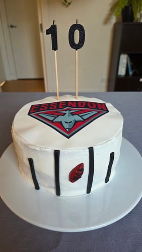 Customer photo review of Essendon Bombers AFL Club - Edible Icing Images