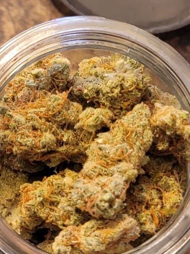 Customer photo review of Shishkaberry x Old Widow
