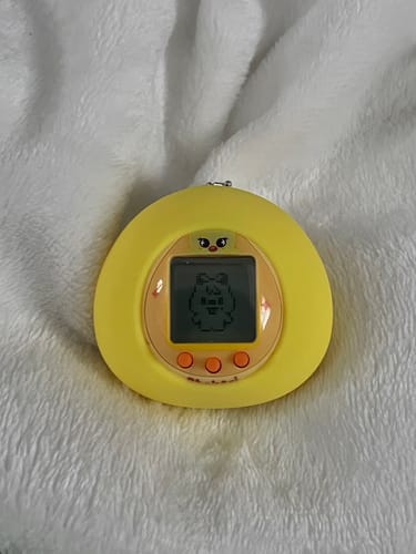 Customer photo review of [3RD PRE-ORDER] STRAY KIDS - SKZOO X DAMAGOTCHI OFFICIAL MD TAMAGOTCHI & CASE SET