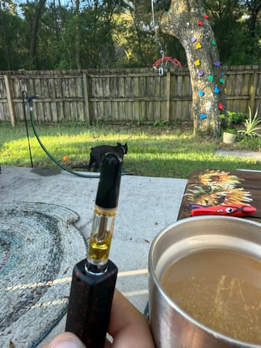 Customer photo review of 3pc Flavor Pack of 1 Gram Delta-8 THC Full Spectrum Vape Cartridge