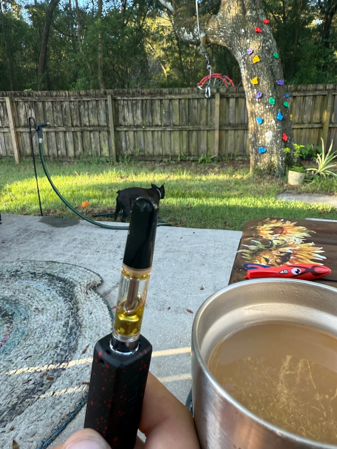Customer photo review of 3pc Flavor Pack of 1 Gram Delta-8 THC Full Spectrum Vape Cartridge