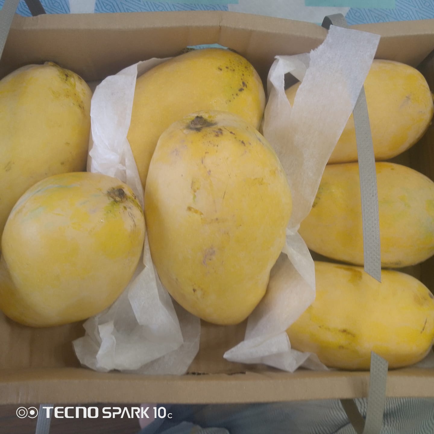 Customer photo review of Multan's Anwar Ratol Mango