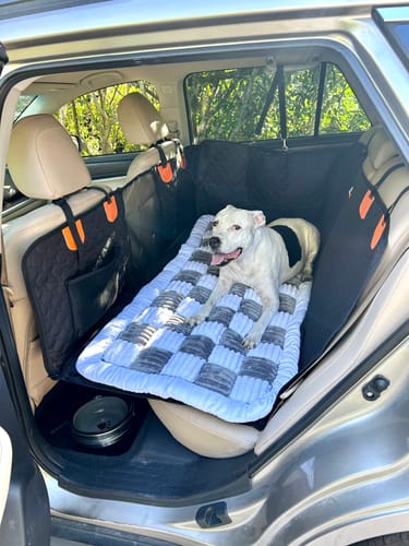 Customer photo review of RuffRover 2.0™ - Hard Bottom Dog Car Seat Protector + (FREE Dog Bed)