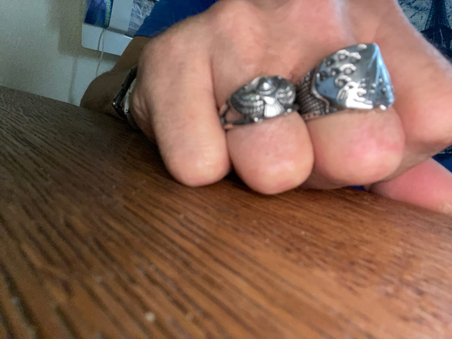 Customer photo review of Free As Bird.