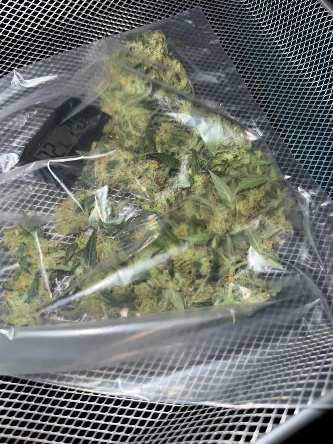 Customer photo review of Dry Ferm Bag (3er Set)