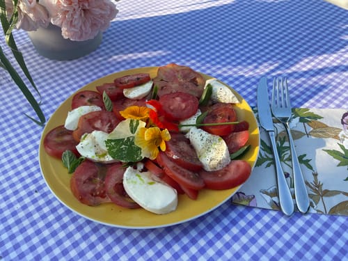 Customer photo review of Bio-Dillöl