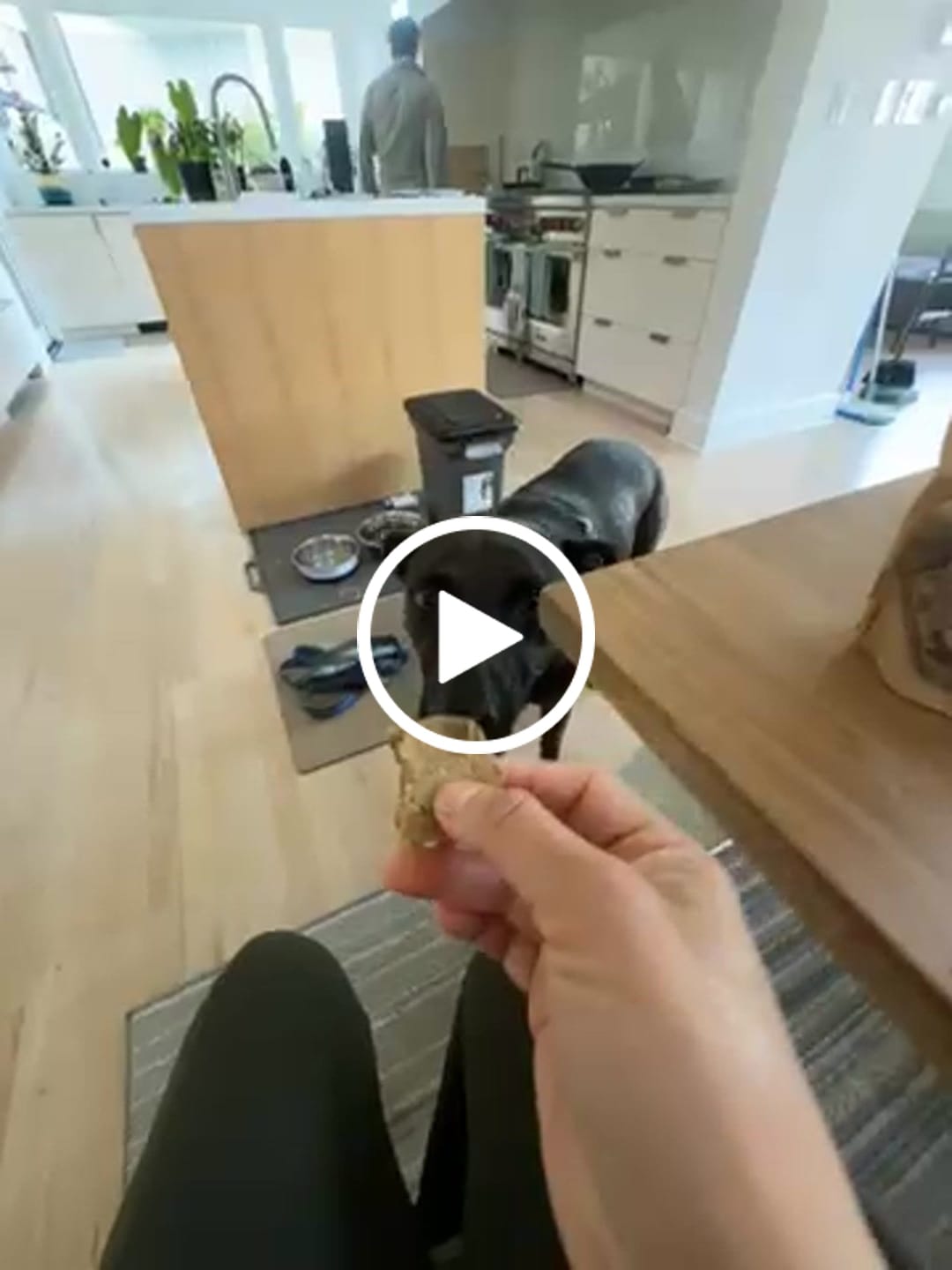 Customer video review of Freeze-Dried Rabbit Mix