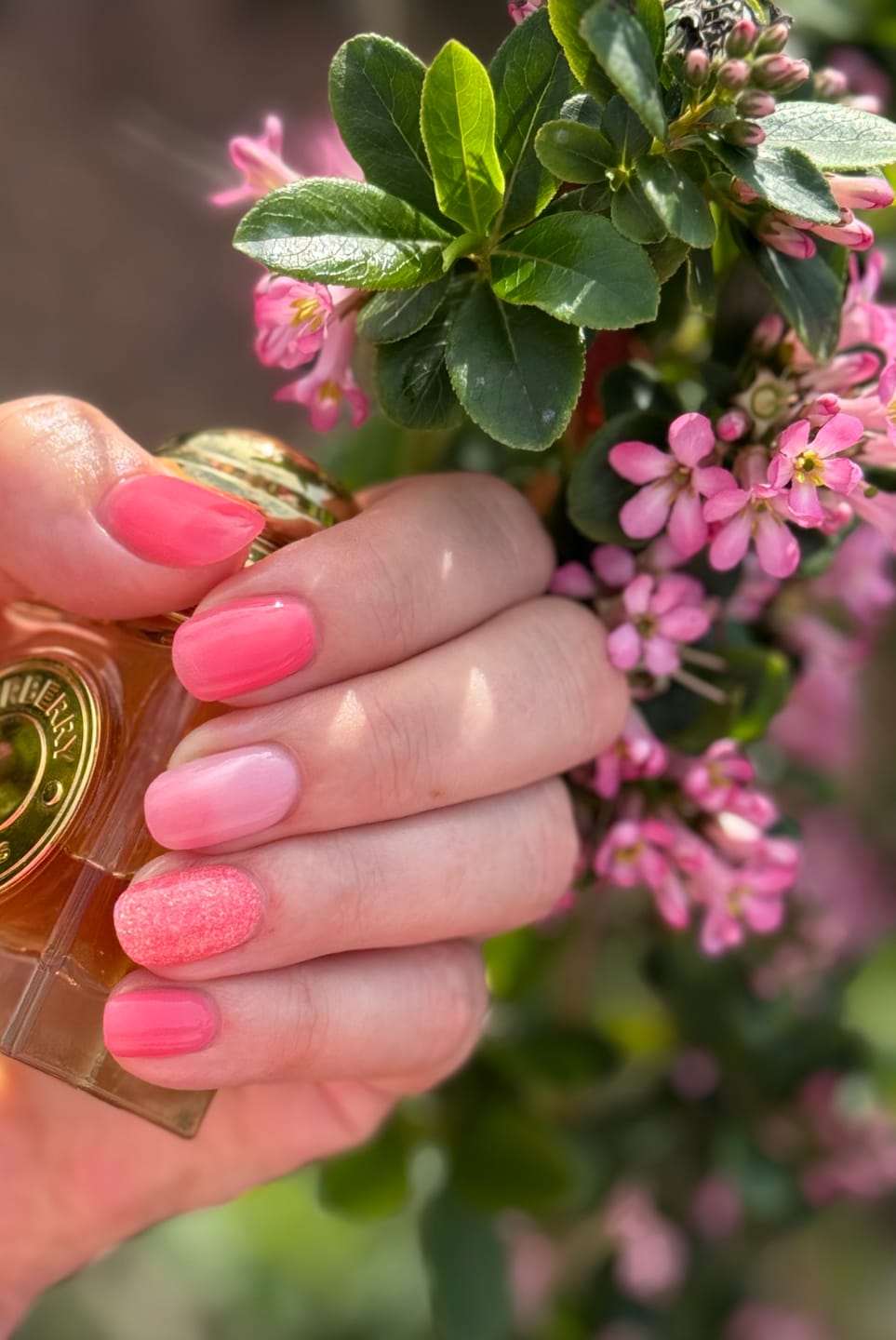 Customer photo review of Sunset Lover Dipping Powder