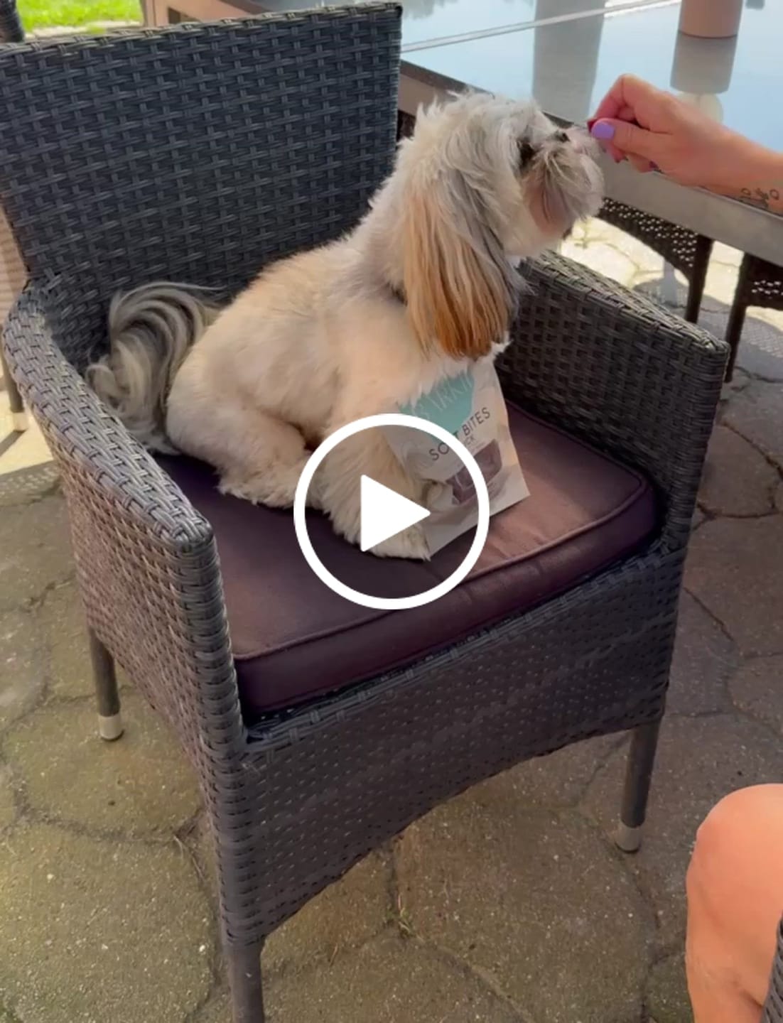 Customer video review of Barkii - Smagspakken