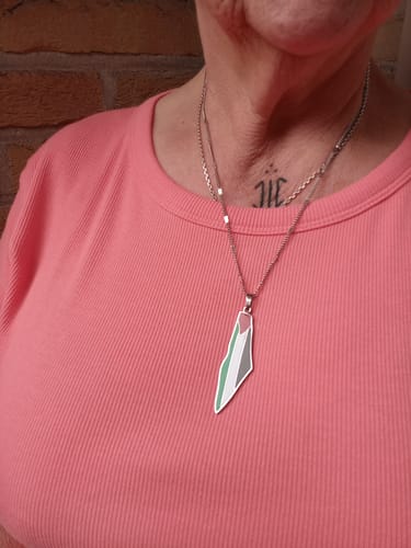 Customer photo review of Palestine Pride Map Necklace