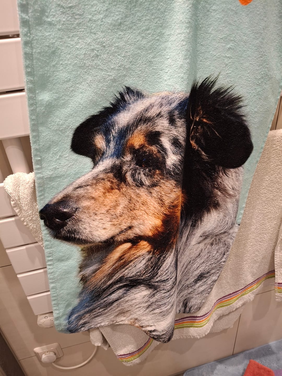 Customer photo review of Haustierportrait - Individuelles Strandtuch
