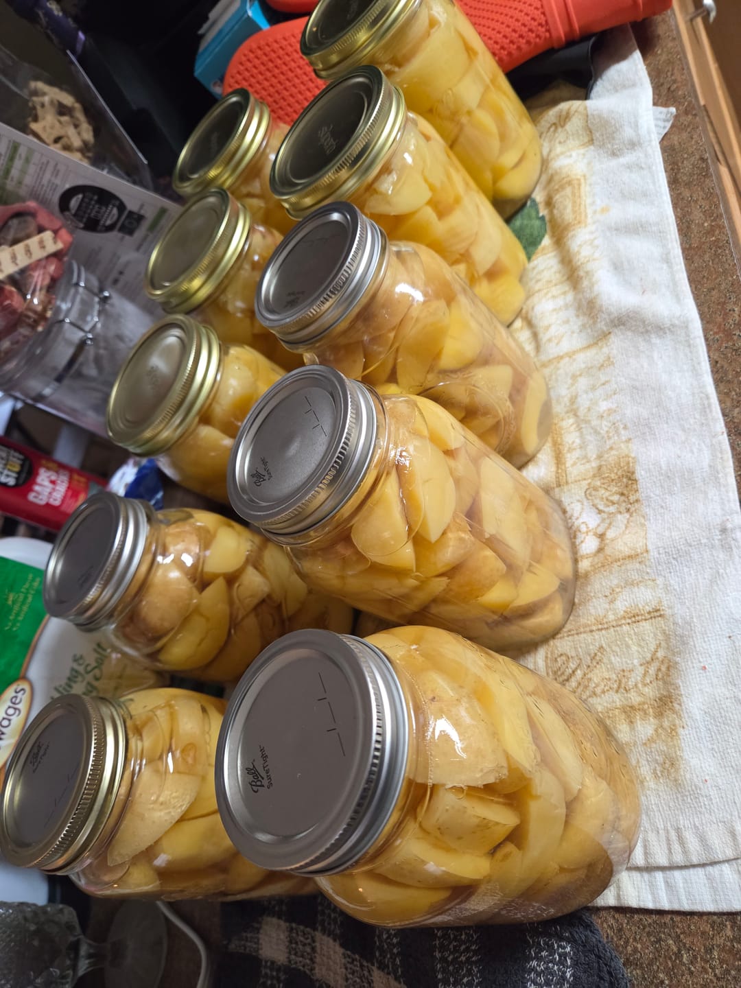 Customer photo review of Regular Mouth Quart Canning Jars - 12 Pack - Includes Lids & Bands